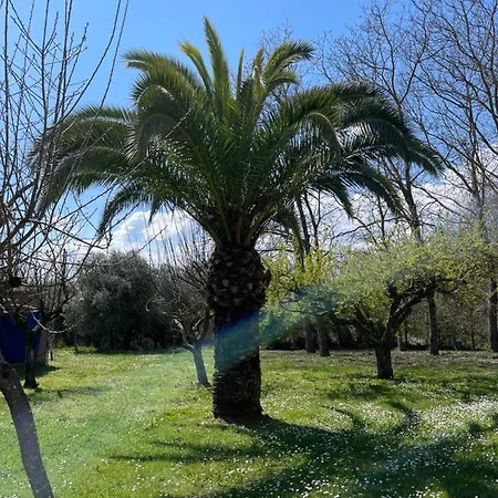 Bed & Breakfast Casal Pereto Valmontone