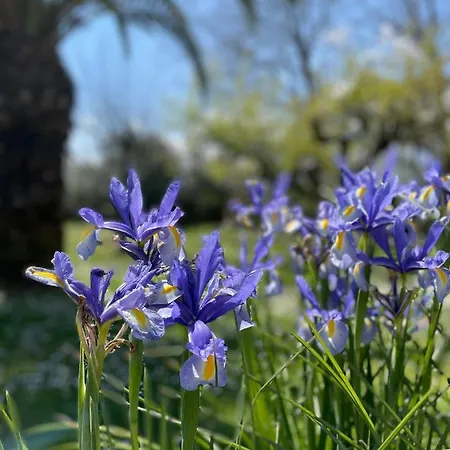 Casal Pereto 住宿加早餐酒店