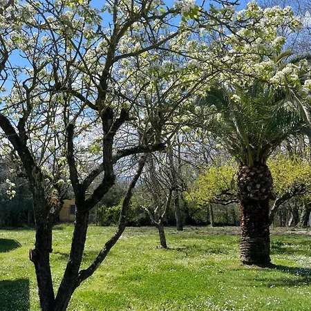 Casal Pereto Bed & Breakfast