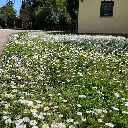 Casal Pereto 住宿加早餐酒店