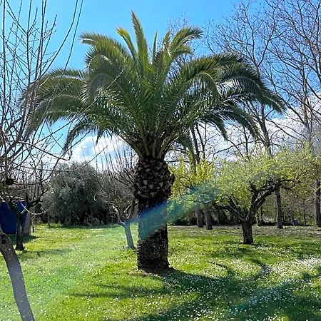 Casal Pereto 3* Valmontone