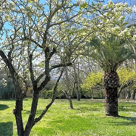 Casal Pereto Bed and breakfast Valmontone
